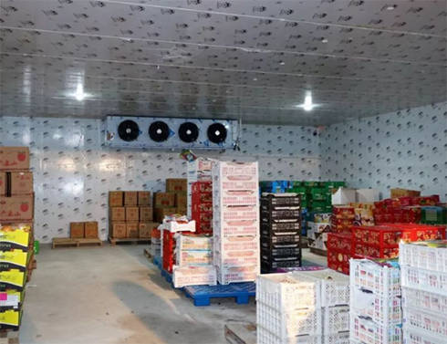 生鮮好色先生看片APP建造價格