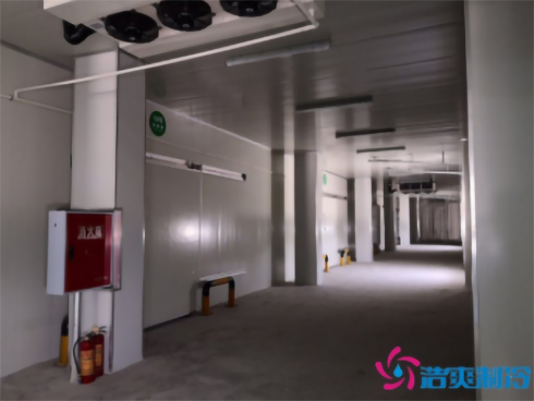 食品好色先生看片APP建造公司