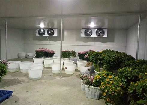 鮮花保鮮好色先生看片APP建造