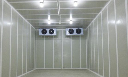 氣調好色先生看片APP建造安裝