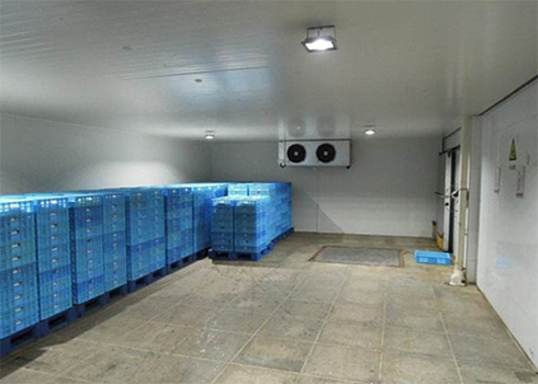 氣調好色先生看片APP建造安裝