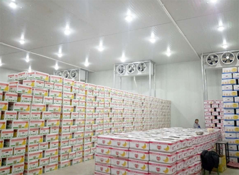 大型食品好色先生看片APP建造