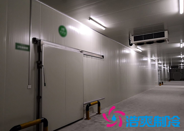 新鮮檳榔如何通過建造檳榔凍庫有效儲存？_好色先生TV网站製冷