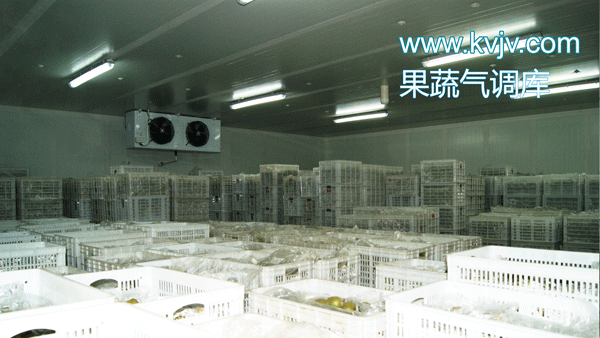 衢州蜜之源果業氣調保鮮好色先生看片APP建造工程 衢州蜜之源果業氣調保鮮好色先生看片APP建造工程