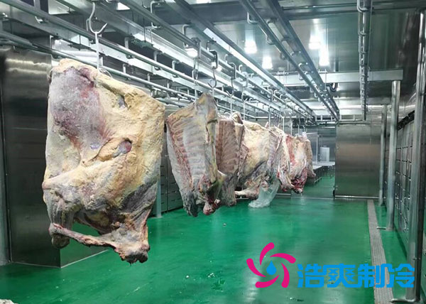 鹹陽屠宰場陝西好色先生看片APP建造價格多少錢？-好色先生TV网站製冷