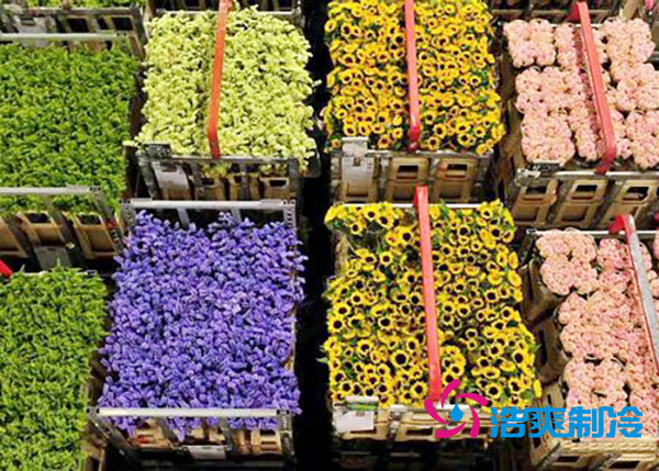花卉好色先生看片APP安裝預算造價多少錢？-好色先生TV网站製冷