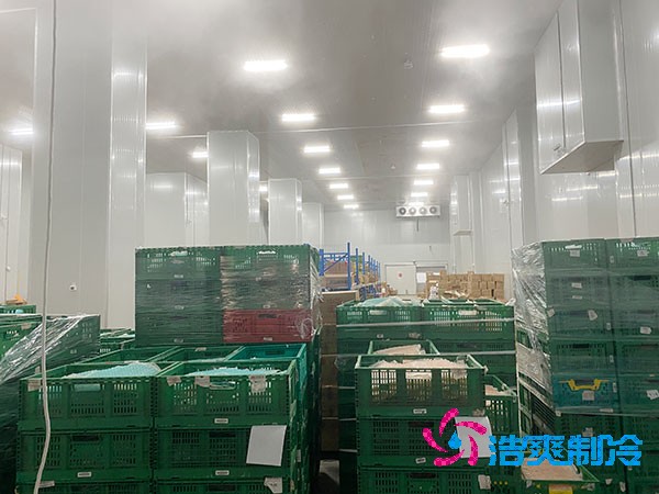 萬噸大型好色先生看片APP冷藏庫建造多少錢