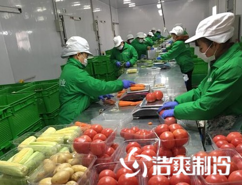 生鮮好色先生看片APP建造_好色先生TV网站製冷