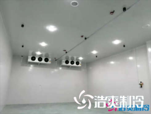 上海巴洛美巧克力食品好色先生看片APP建造設計