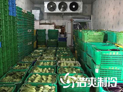 生鮮食品物流好色先生看片APP