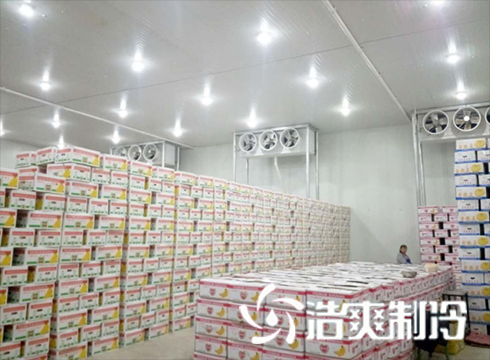食品好色先生看片APP建造價格