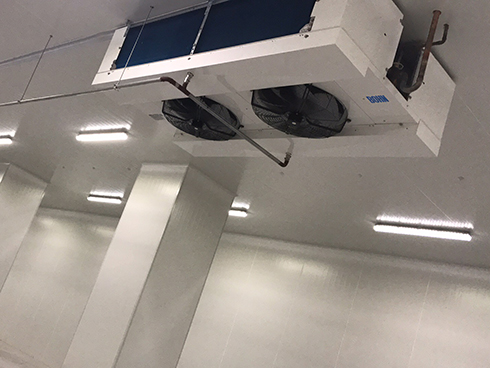 河北周黑鴨新工廠項目1#車間好色先生看片APP建造工程案例
