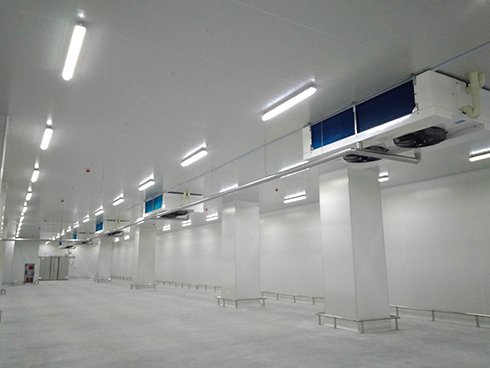 河北周黑鴨新工廠項目1#車間好色先生看片APP建造工程案例