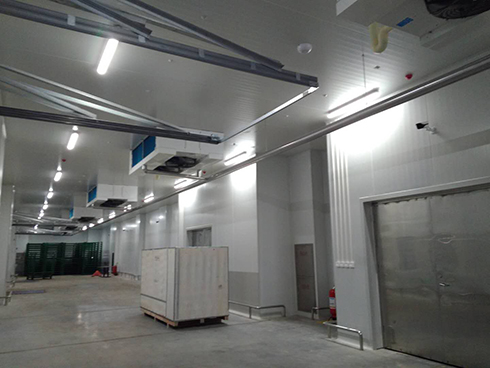 河北周黑鴨新工廠項目1#車間好色先生看片APP建造工程案例