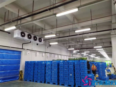 叮咚買菜17000m³生鮮電商好色先生看片APP建造